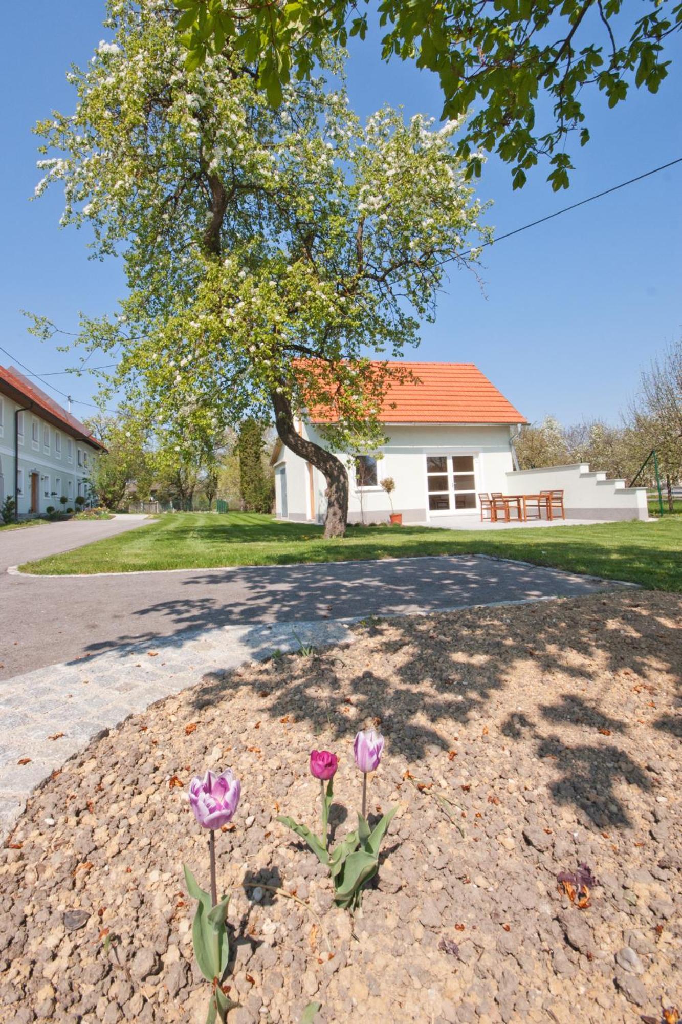 Landhaus Essl Dietach Extérieur photo