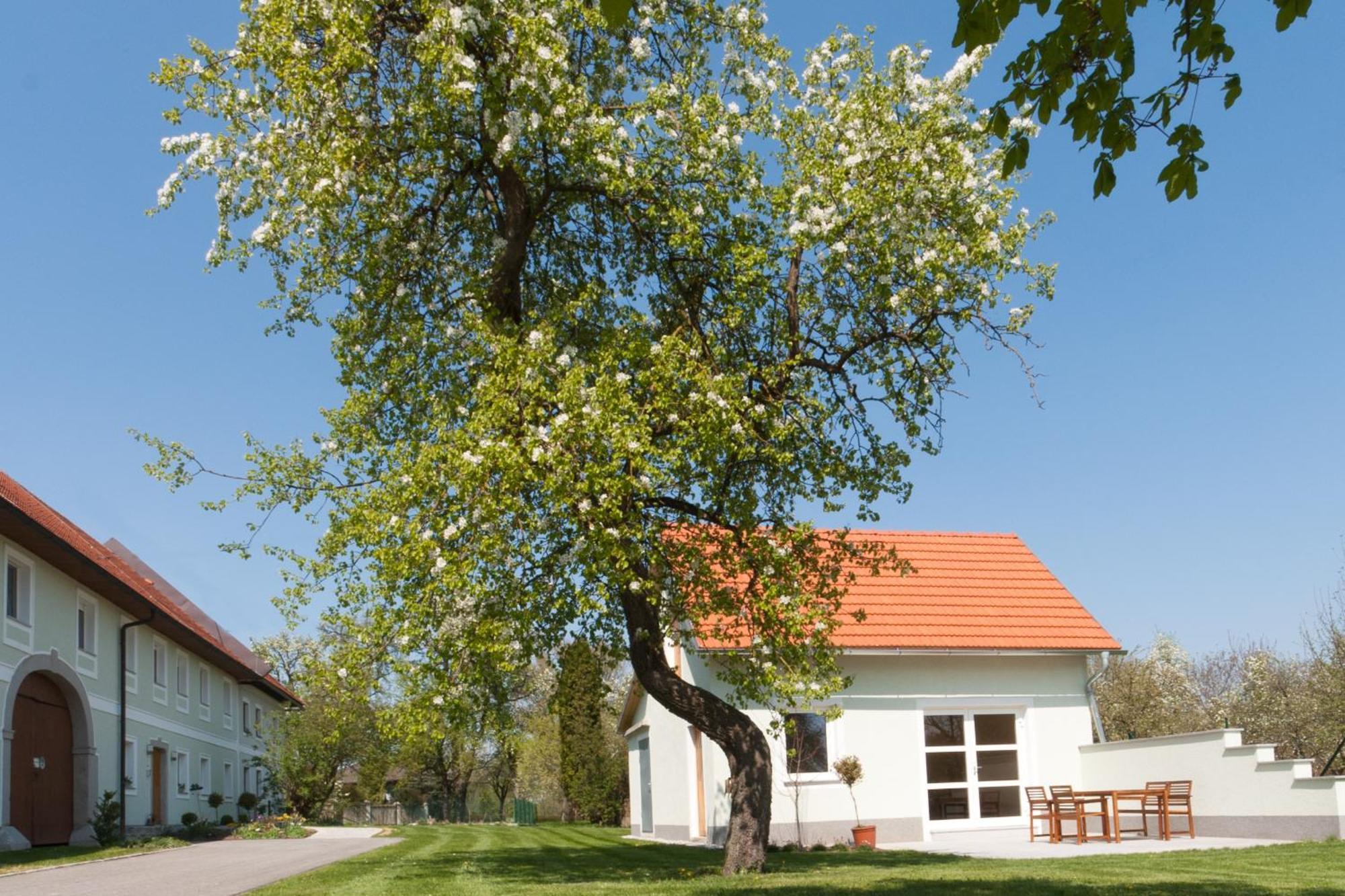 Landhaus Essl Dietach Extérieur photo